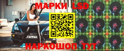 индика Новокубанск