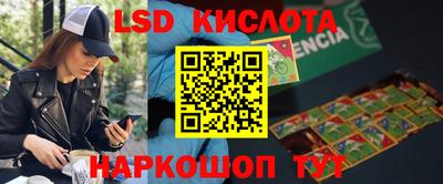 индика Новокубанск