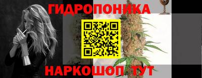 индика Новокубанск