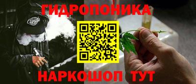 apvp Обь