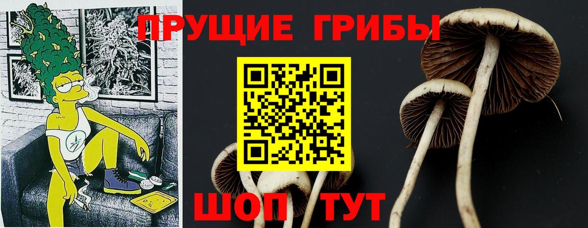 Тайшет  Псилоцибиновые грибы ЛСД  Вход с VPN 