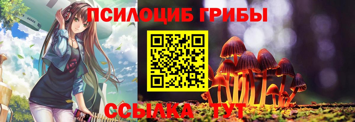 Галлюциногенные грибы Cubensis Тайшет